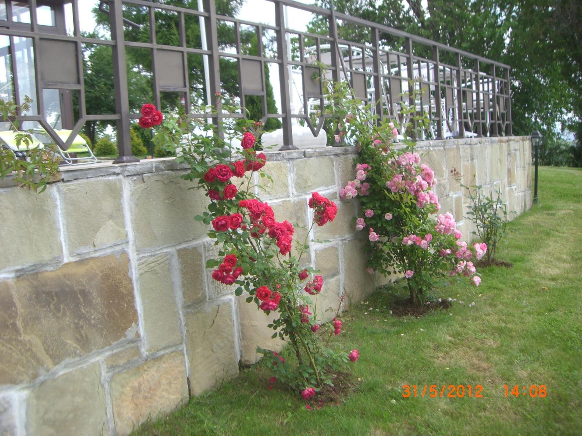 Park Hotel Arbanassi Kültér fotó